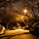 Illustration for article titled Pics from the Curbside: 2017-03-25 Oppo After Dark